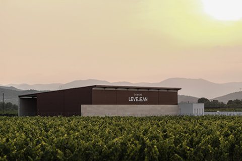 DOMAINE LEVEJEAN — vue 2